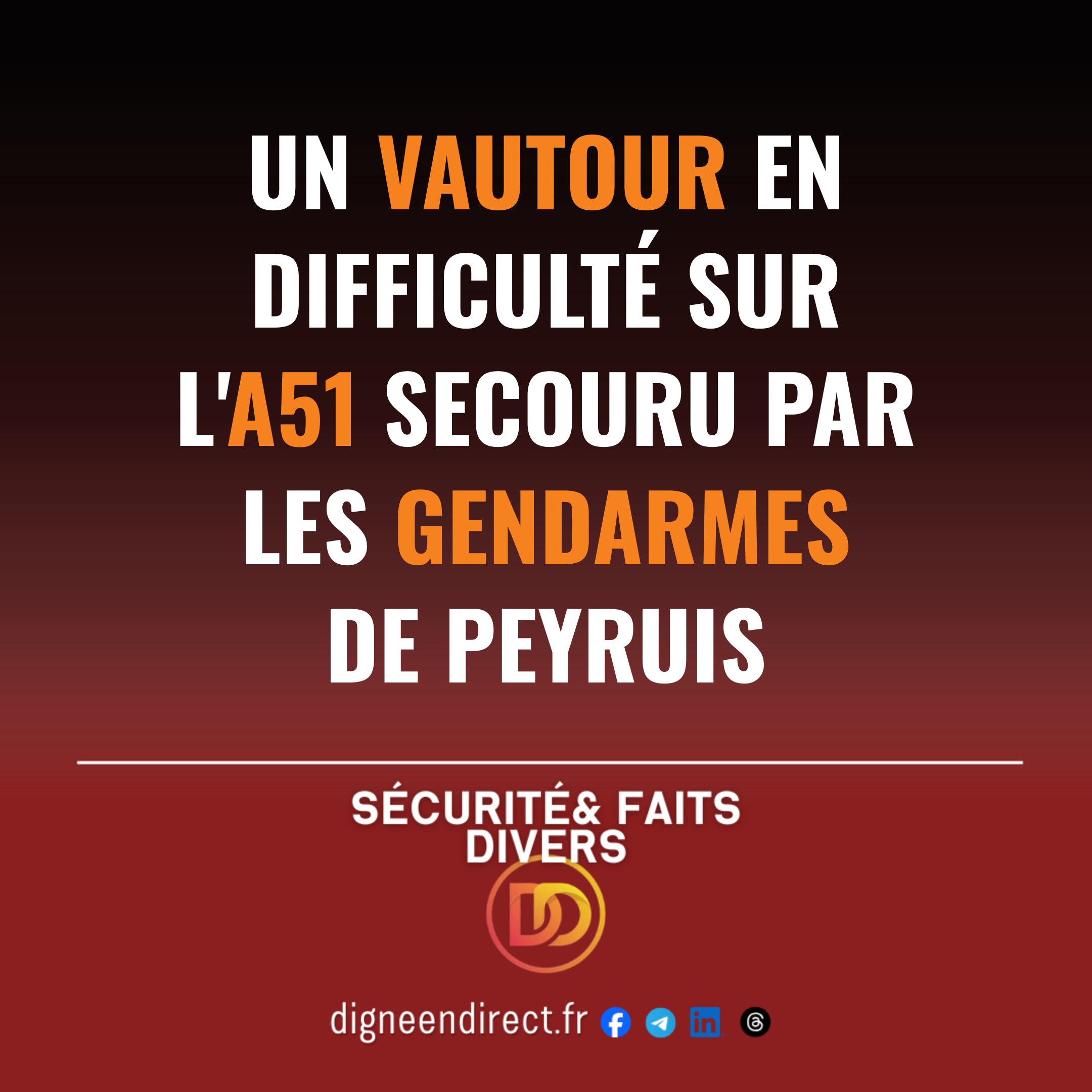 Mercredi matin sur l&rsquo;autoroute, un rapace immobilisé au sol a nécessité une intervention insolite des forces de l&rsquo;ordre.