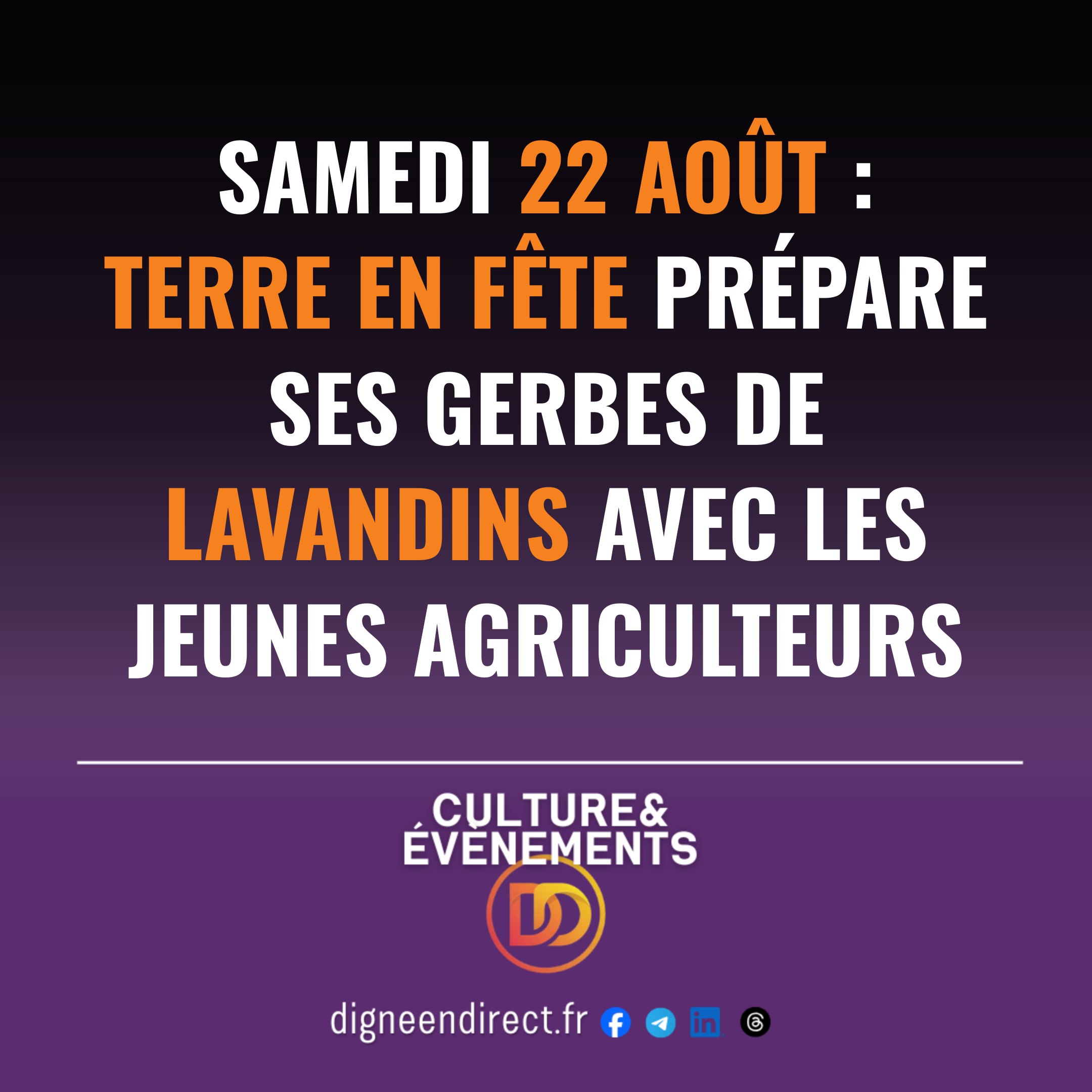 Samedi 22 août : Terre en fête prépare ses gerbes de lavandins avec les Jeunes Agriculteurs