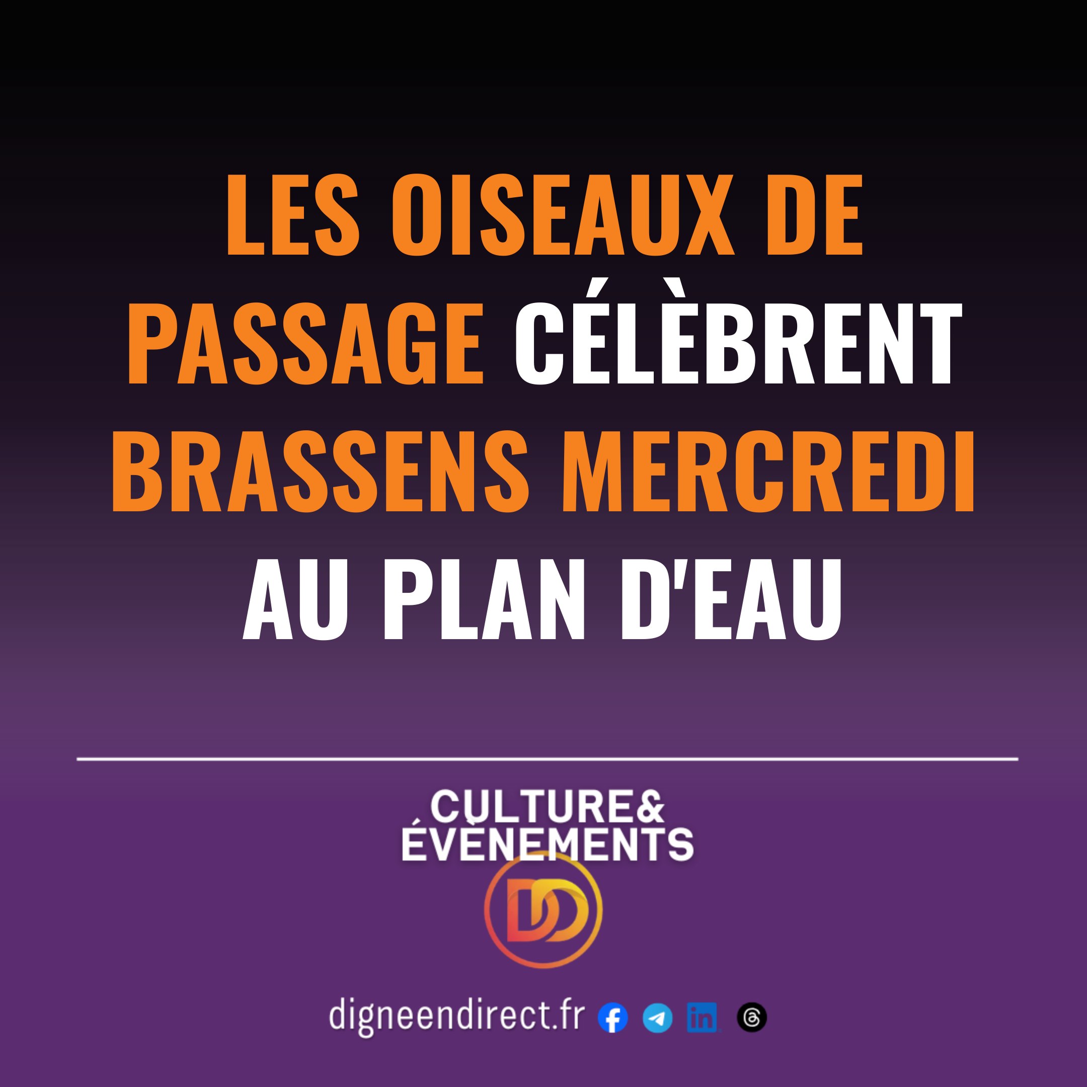 Les Oiseaux de passage célèbrent Brassens mercredi au Plan d&rsquo;eau