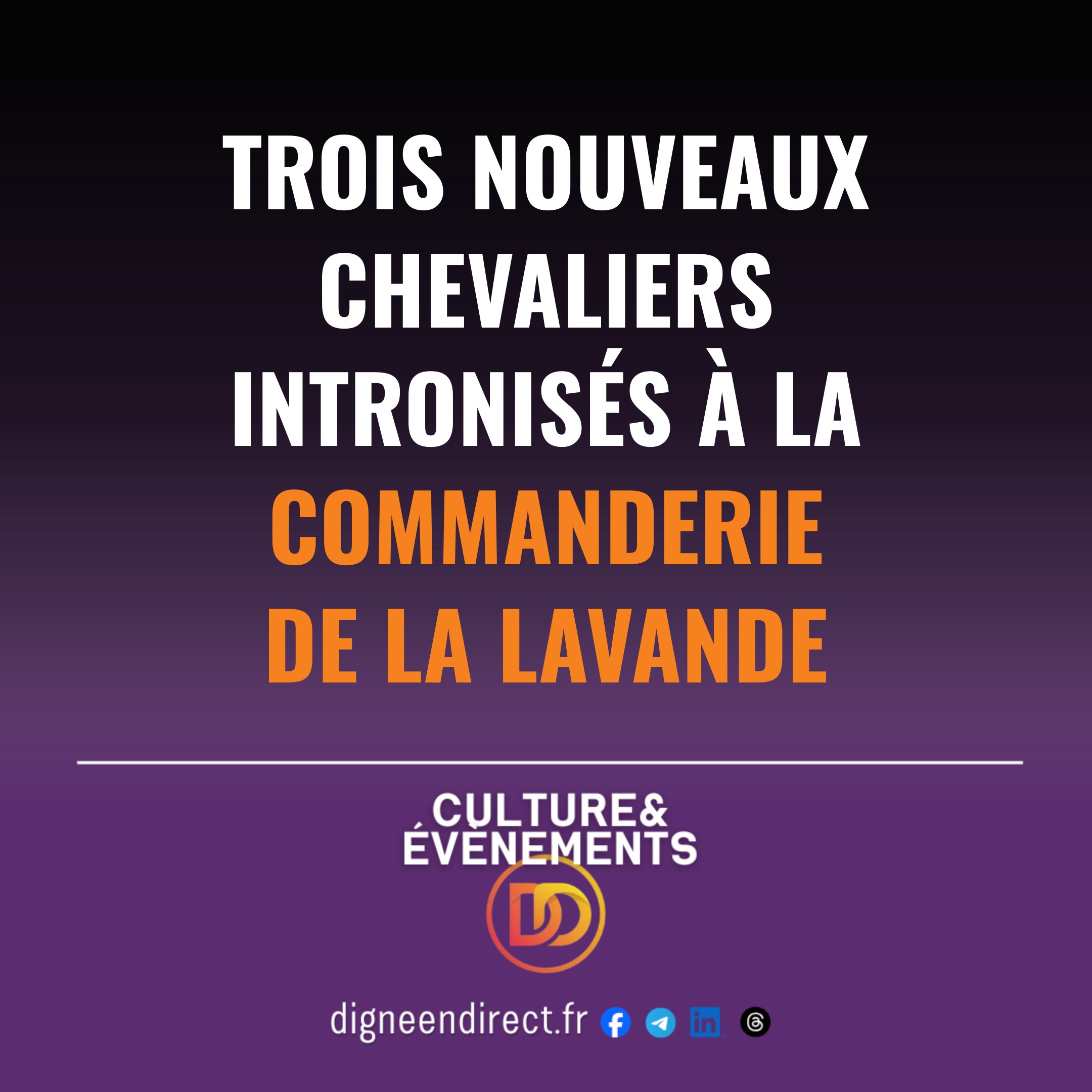 Cérémonie d'intronisation à la Commanderie de la Lavande de Digne-les-Bains, sous les platanes de la Foire-exposition, août 2024.